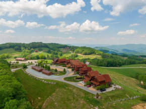 Whitetail Ridge Lodge - Eagles Nest, long range views, three masters